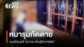 วงจรปิดบันทึกเหตุชาย 18 ปีถูก 3 สุนัขอเมริกันบูลลี่ขย้ำตาย