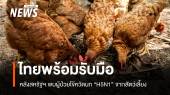 ไทยพร้อมรับมือ! สหรัฐฯ พบผู้ป่วยไข้หวัดนก H5N1 จากสัตว์เลี้ยง