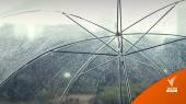 สภาพอากาศวันนี้ ไทยฝนฟ้าคะนองเพิ่มขึ้น ฝนตกหนักบางแห่ง 