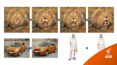 DragGAN AI ปรับแต่งภาพแบบ Photoshop ด้วยปัญญาประดิษฐ์