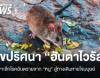 ไขปริศนาโรคหายาก! ไวรัสฮันตาโผล่กลางทะเล เสี่ยงจากหนู