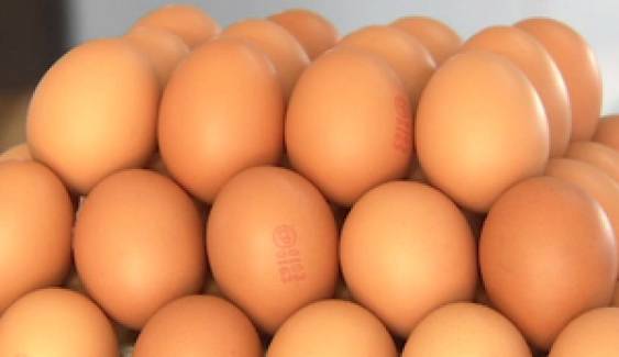 ก.พาณิชย์ เร่งส่งออกไข่ไก่แก้ปัญหาไข่ล้นตลาด