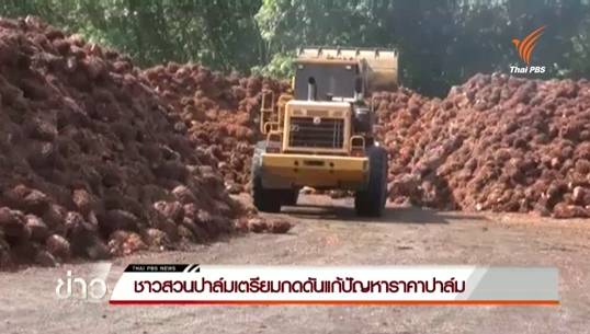 ชาวสวนปาล์มเตรียมกดดันแก้ปัญหาราคาปาล์ม