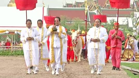 พระราชพิธีแรกนาขวัญ ผลเสี่ยงทาย "น้ำมาก-ธัญญาหารอุดมสมบูรณ์"