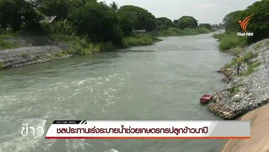 ชลประทานเร่งระบายน้ำช่วยเกษตรกรปลูกข้าวนาปี