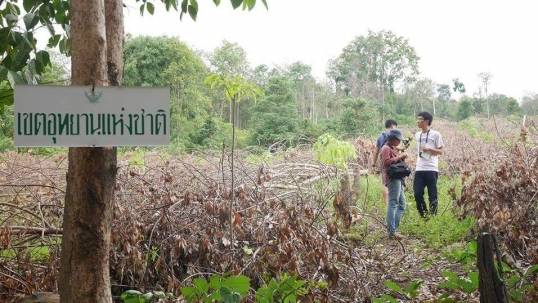 หลังม่านนโยบายทวงคืนผืนป่า คราบน้ำตาของคนเล็กคนน้อย