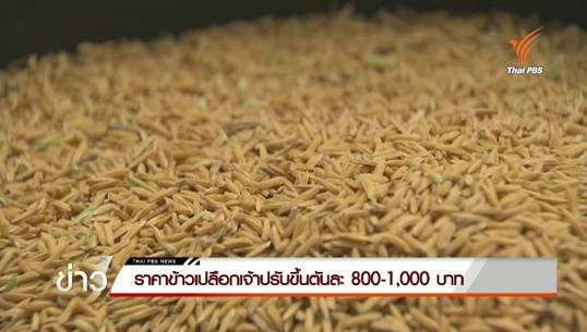 ภัยแล้งส่งผลราคาข้าวเปลือกเจ้าปรับขึ้นตันละ 800-1,000 บาท