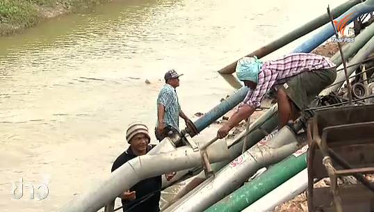 ชาวนาสุพรรณบุรีฝ่าฝืนมติ ครม. เร่งสูบน้ำเข้านา