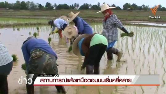 ภัยแล้งน่าน-สระแก้วเริ่มคลี่คลาย ชาวนาเร่งปักดำข้าวเพาะปลูกพืชทันทีหลังมีน้ำเพียงพอ