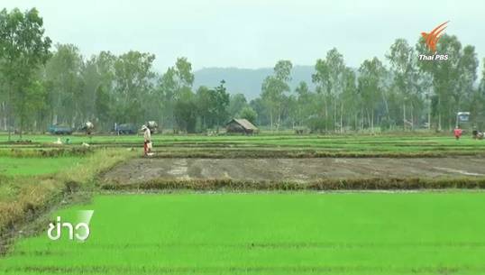 ฝนเริ่มตกในหลายพื้นที่ภาคเหนือ บรรเทาวิกฤตภัยแล้ง เกษตรกรเร่งเพาะปลูก