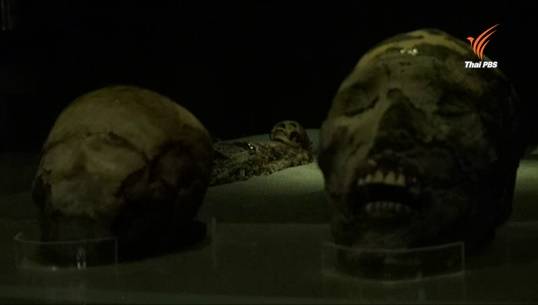 ชิลีสนับสนุน ยูเนสโก ขึ้นทะเบียนให้ "มัมมี่ชินโคโร" เป็นมรดกโลก