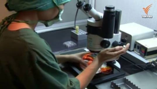 คลอดกฎหมายอุ้มบุญ บังคับใช้ 30 ก.ค.นี้ สธ.เตือนทำเชิงพาณิชย์จำคุก 10 ปีปรับ 2 แสน