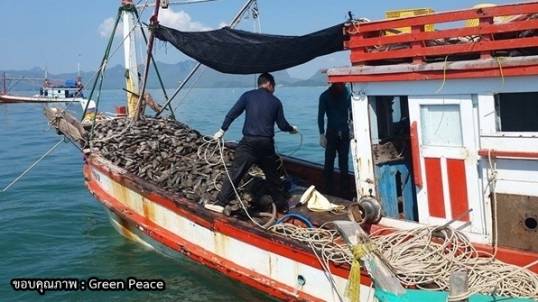 ประมงพื้นบ้าน-เรือดำหอยจอบ ความขัดแย้งเพราะแหล่งทำกินเดียวกัน