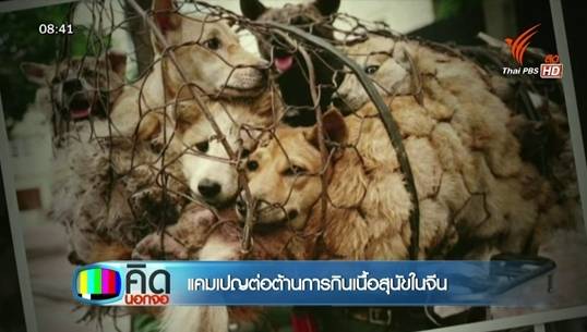 ชาวเน็ตกว่าล้านคนต้านเทศกาลกินหมาในจีน