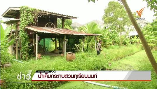 น้ำเค็มหนุนกระทบสวนทุเรียนนนท์