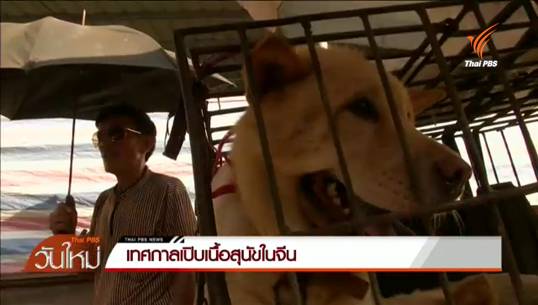 เทศกาลเปิบเนื้อสุนัขเมืองยู้หลินของจีนเริ่มวันนี้