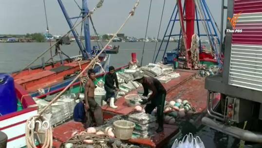 สมาคมเรือประมง เผยอาจงดทำประมง-ปิดตลาดปลา หาก ศปมผ.ไม่แก้ปัญหาขึ้นทะเบียนเรือ