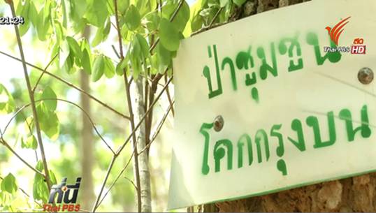 ชาวเพชรบูรณ์ร้องเพิกถอนเอกสารสิทธิ์ เชื่อออกโดยมิชอบ-ทับที่ป่าชุมชน