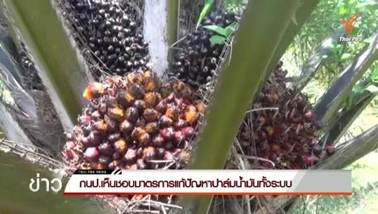 กนป.เห็นชอบมาตรการแก้ปัญหาปาล์มน้ำมันทั้งระบบ