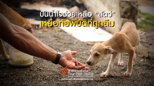 ปันน้ำใจช่วยเหลือ “สัตว์” เหยื่อภัยพิบัติที่ถูกลืม