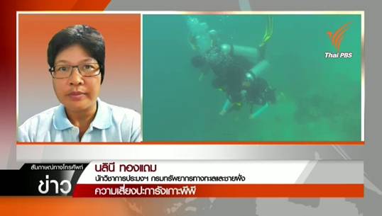 นักวิชาการแนะจัดระเบียบการใช้ปะการัง คุมมาตรฐานผู้ประกอบการนำเที่ยวเกาะพีพี