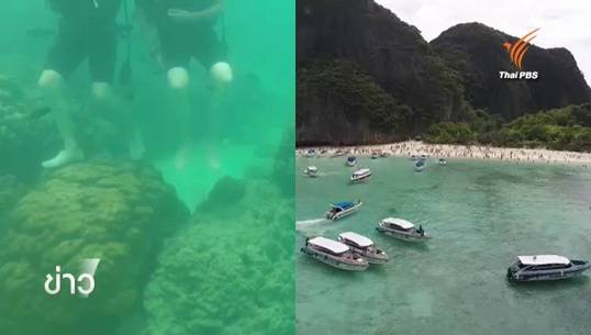 ผศ.ธรณ์ แนะอุทยานฯ หมู่เกาะพีพี ยกเลิกดำน้ำแบบ Try Dive