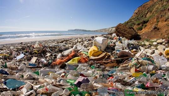 วิกฤตแหล่งท่องเที่ยวไทย "ดอยอินทนนท์" ครองแชมป์สร้างขยะมากสุดช่วงปีใหม่ 3,600 ตัน -พบขยะชายหาด-ทะเลปีละ 70,000 ชิ้น