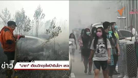 วิกฤตไฟป่าอินโดฯ เลวร้ายสุดในรอบ 15 ปี-ปล่อยก๊าซเรือนกระจำ 600 ล้านตัน