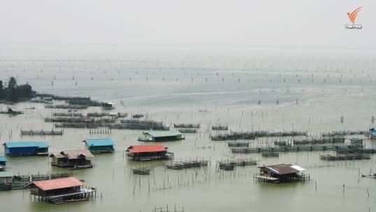 ผู้ว่าฯสงขลาขีดเส้นถึงสิ้นเดือน-รื้อโพงพาง ชาวประมงโอดสูญรายได้หลักของครอบครัว