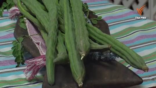 ม.มหิดลเผยผลวิจัยพบมะรุมต้มป้องกัน-บรรเทามะเร็งลำไส้ใหญ่ได้