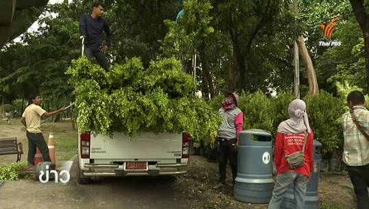 กทม.เตรียมประดับไม้ดอกเส้นทางปั่นจักรยาน Bike for Mom