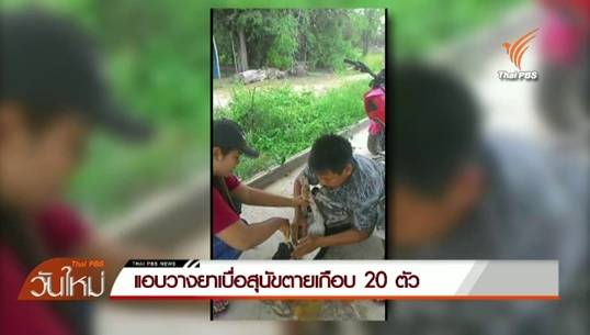 ชาวกำแพงเพชรเตรียมเคลื่อนไหวประณาม มือลอบวางยาเบื่อฆ่าสุนัขตายเกือบ 20 ตัว