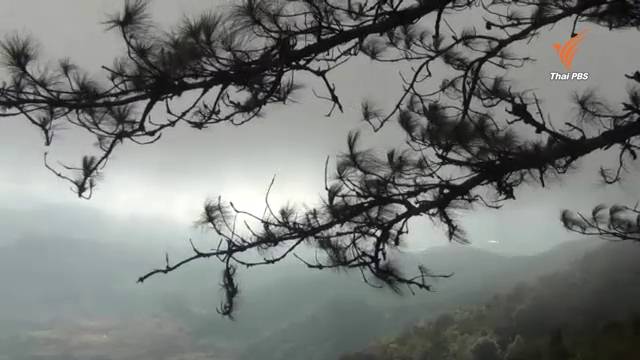 1-4 ก.พ. ภาคเหนือ-อีสาน หนาวอีกระลอก อุณหภูมิลดลง 2-4 องศาฯ