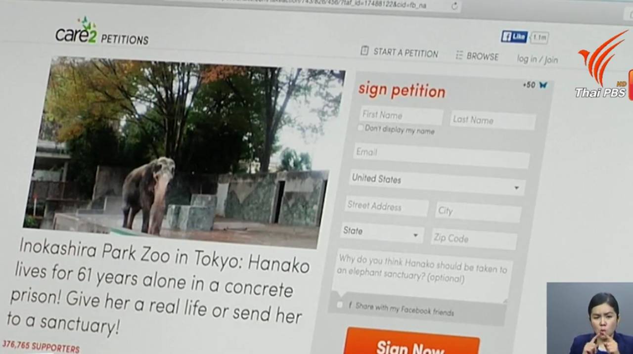 สังคมออนไลน์ญี่ปุ่นร้องสวนสัตว์อิโนะกาชิระ คืน “ช้างฮานาโกะ” ให้ประเทศไทย 