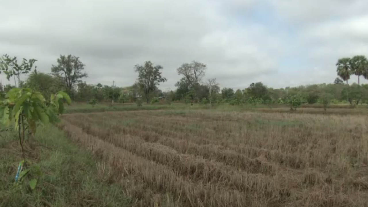 "ปอ ทฤษฎี" พระเอกติดดิน-แบบอย่างการใช้ชีวิตแบบพอเพียง