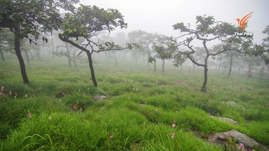 อุตุฯเตือนหนาวอีกระลอกลดวูบ 6-10 องศา 23-27 ม.ค.อ่าวไทยคลื่นแรง-เรือเล็กงดออกจากฝั่ง