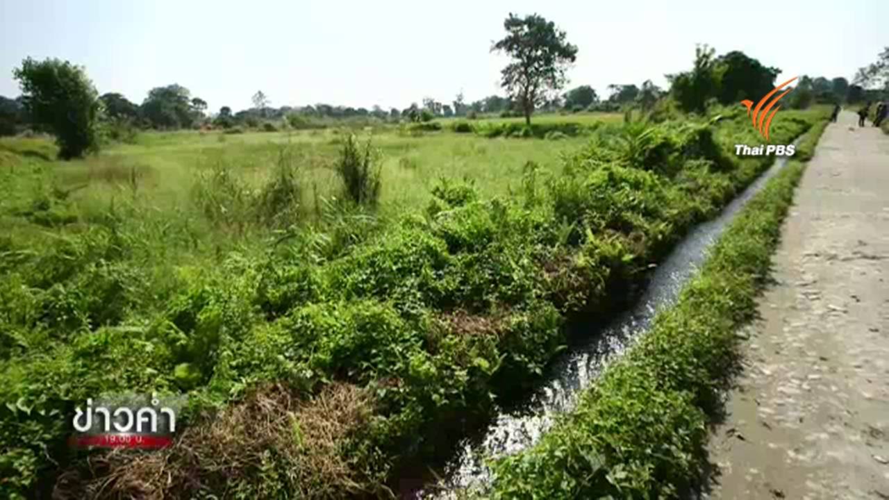 ภูมิปัญญาจัดการน้ำของ “ชาวไทคำตี่” บนพื้นที่เกษตรกรรมอู่ข้าวอู่น้ำของอินเดีย
