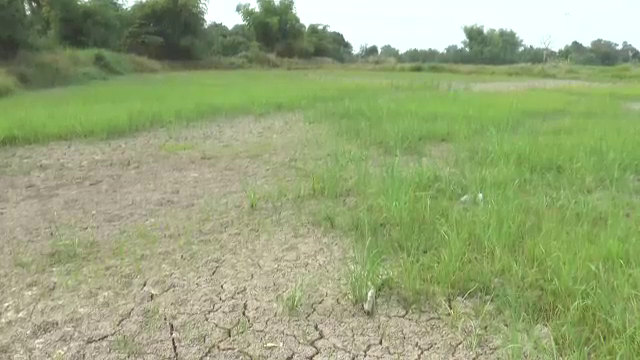 เขื่อนแควน้อยฯ น้ำเหลือร้อยละ 39 ใช้ได้แค่อุปโภค-โคราชปล่อยข้าวแห้งคานา