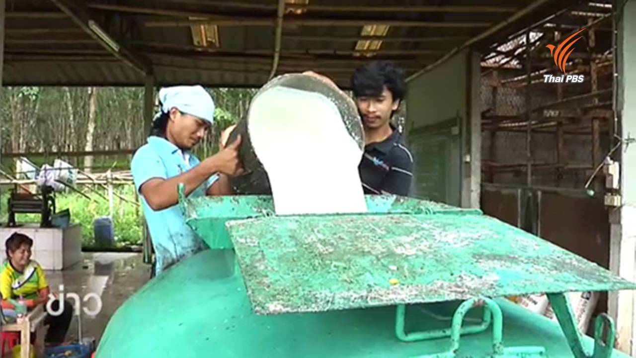 เอกชนพร้อมรับซื้อน้ำยางพาราทำถนนแม้ต้นทุนเพิ่ม