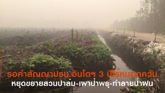 รอคำสัญญาปธน.อินโดฯ- 3 ปี “ไร้หมอกควัน” หยุดขยายสวนปาล์ม-เผาป่าพรุ-ทำลายป่าฝน