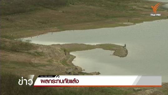 แล้งหนัก-พิจิตรขุดบ่อเตรียมลอยกระทง "เหนือ-อีสาน"ยื้อทำนา-กรมชลฯวอนงดปลูก