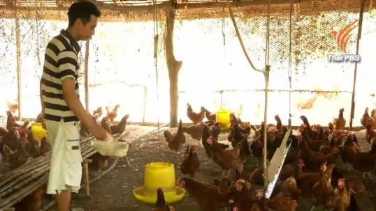 ภาคเกษตรค้าน TPP กระทบเกษตรกรเพียบ ระบุไทย-สหรัฐฯสัมพันธ์ดีขึ้นแต่กระทบด้านอื่น