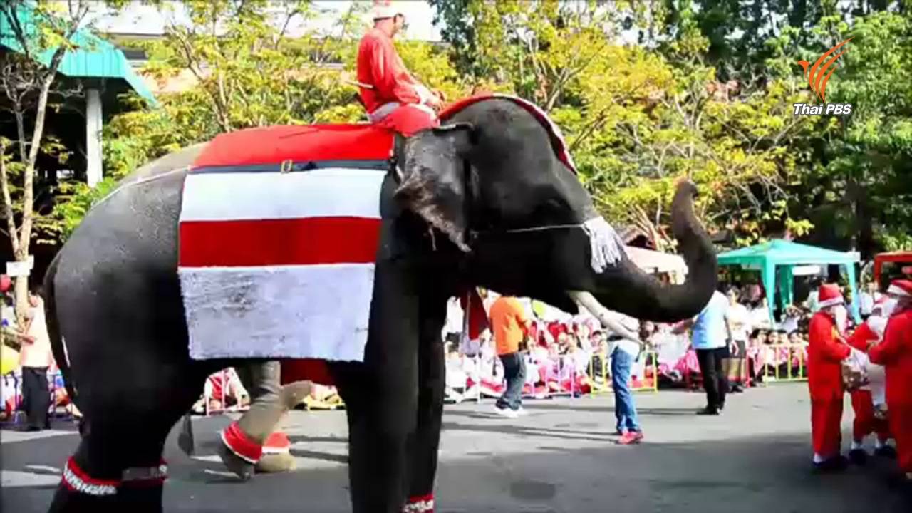 สวนสัตว์-วังช้างฯ นำสัตว์ร่วมสร้างสีสันรับเทศกาลคริสต์มาส