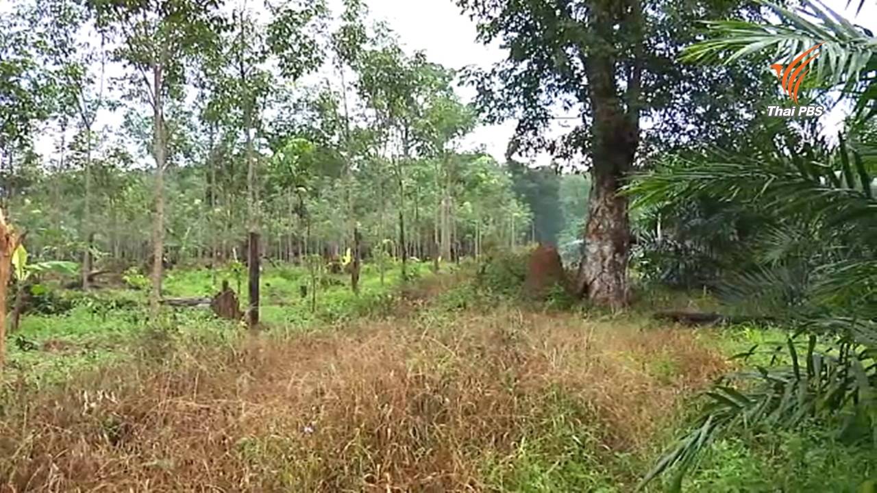 นายกฯ เสนอแนวทางแก้ปัญหาทวงคืนผืนป่าจากชาวบ้าน กลุ่มพีมูฟแนะยกระดับโฉนดชุมชน