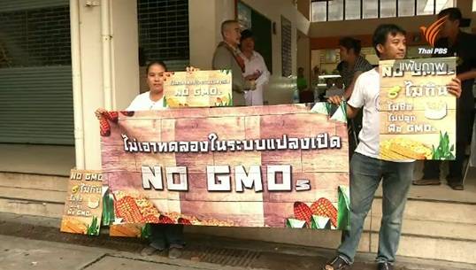 มูลนิธิชีววิถี-องค์กรเครือข่ายนัดรวมตัวค้านร่าง ก.ม.จีเอ็มโอ 9 ธ.ค.นี้