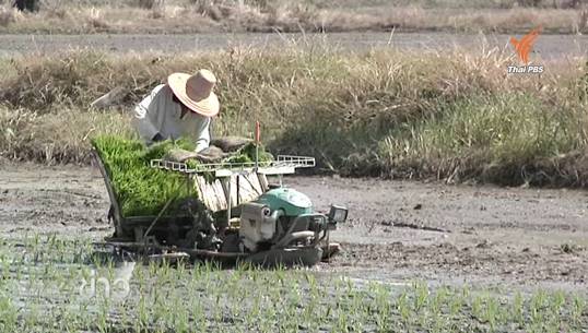 ส.ป.ก.ยกเว้นค่าเช่าที่ดิน-ลดดอกเบี้ยช่วยภัยแล้ง