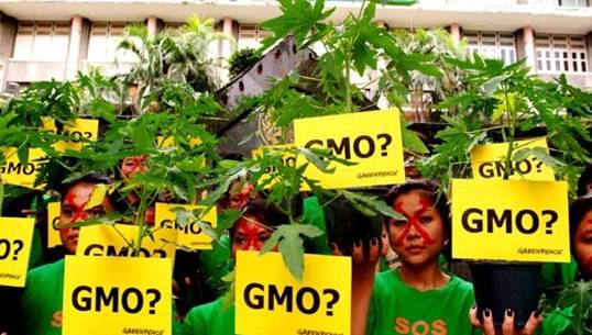 นายกฯสั่งยกเลิกพิจารณา ร่างพ.ร.บ.จีเอ็มโอ เหตุยังไม่มีความชัดเจน