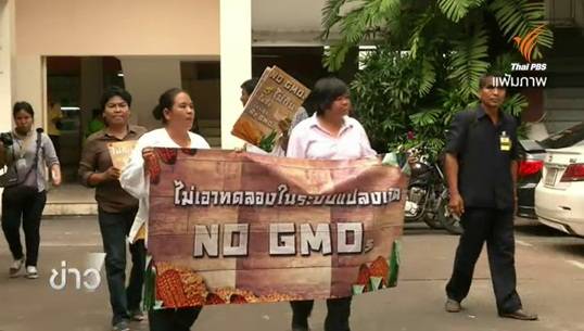 กระแสสนุบสนุน-คัดค้านการทดลองปลูกพืชจีเอ็มโอในไทย