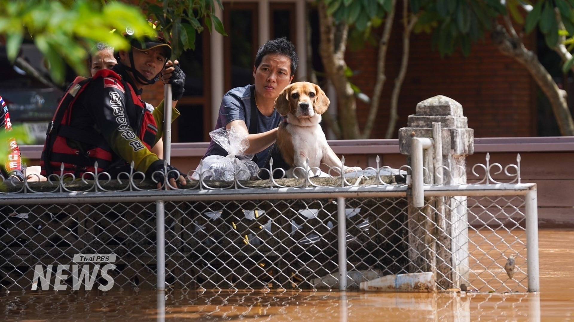 https://news.thaipbs.or.th/media/DL5UJCwG7QGD4DP3eJe4ZtdUlQdN6e.jpg