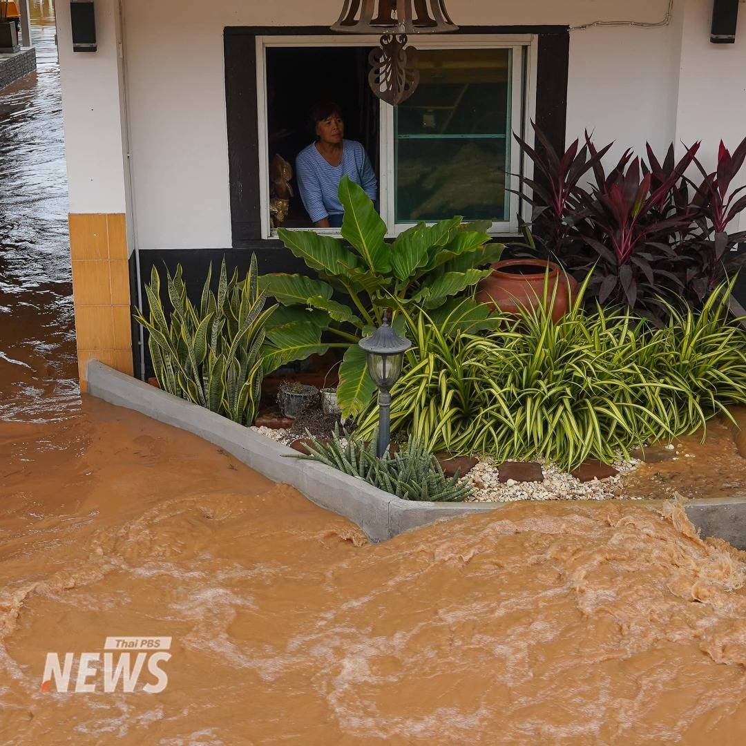 https://news.thaipbs.or.th/media/DL5UJCwG7QGD4DP3eJeJMApZ8nX7T5.jpg